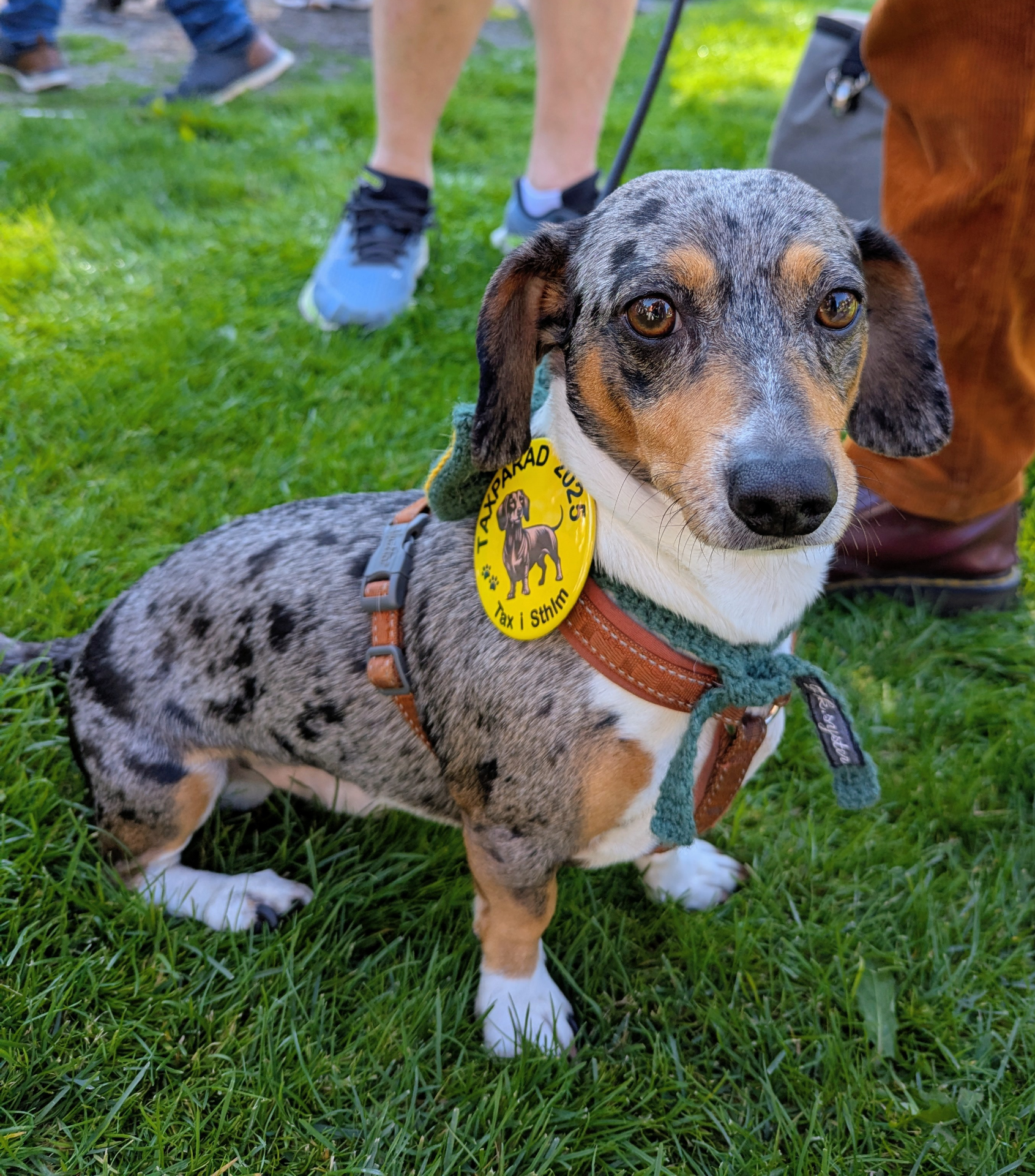 Taxen Alfred. Foto: Christel Dahlberg