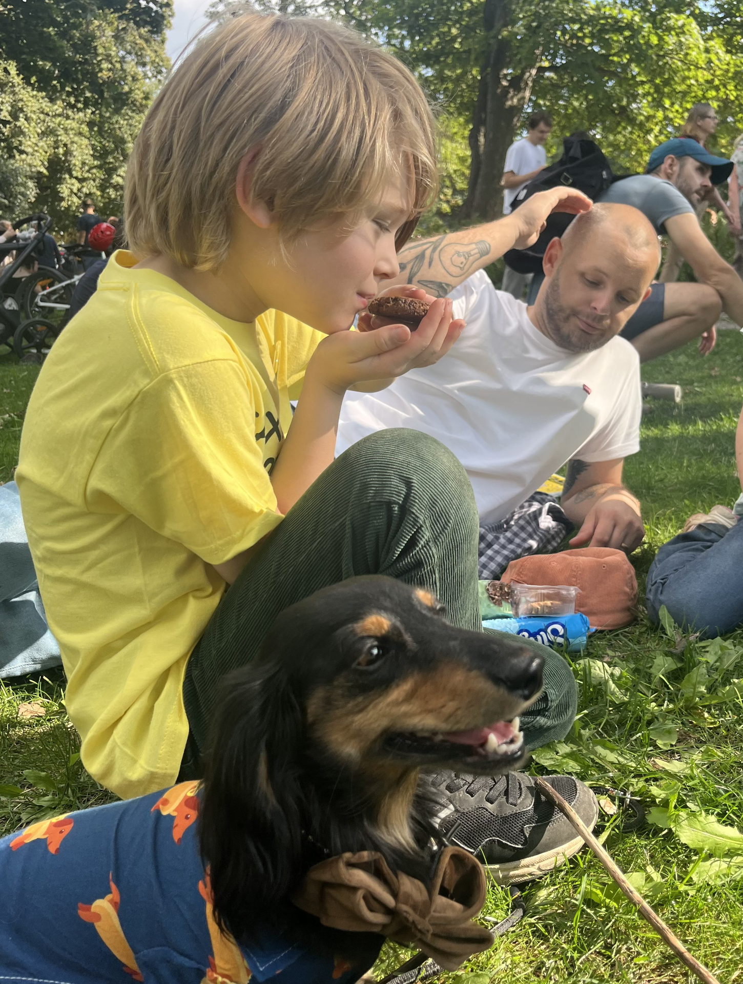 Taxen Mackzi med sällskap. Foto: Malin Alfthan